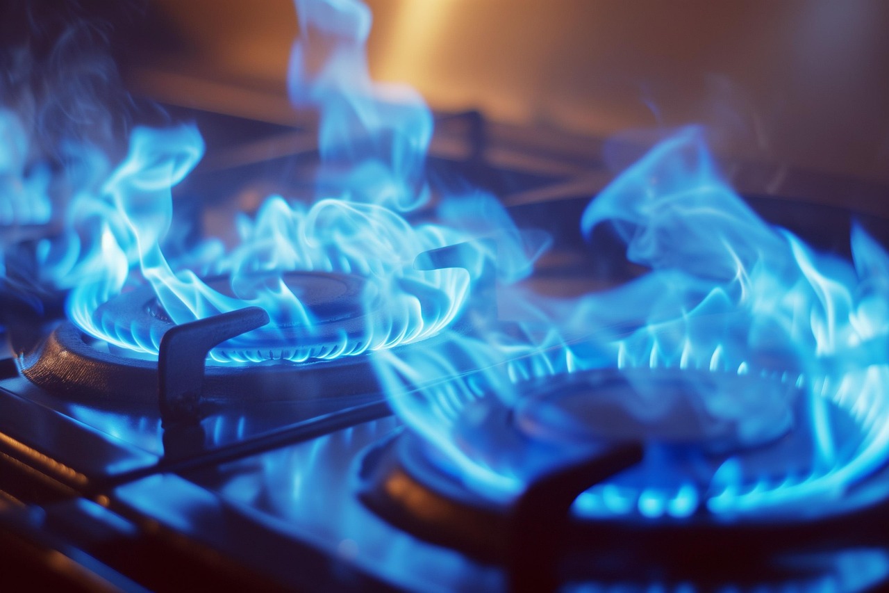 entdecken sie verschiedene kochtechniken, von traditionellem kochen bis zu modernen methoden. verbessern sie ihre küchentalente und lernen sie, wie sie köstliche gerichte zubereiten können.