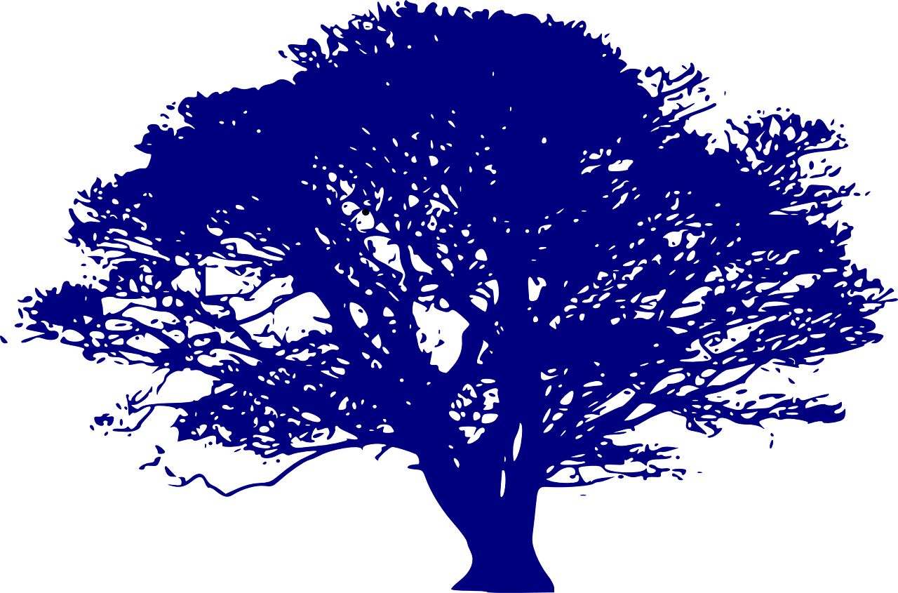 entdecken sie eine vielzahl von bildungsressourcen, die lehrern und schülern helfen, effektives lernen zu fördern und wissen kreativ zu vermitteln.
