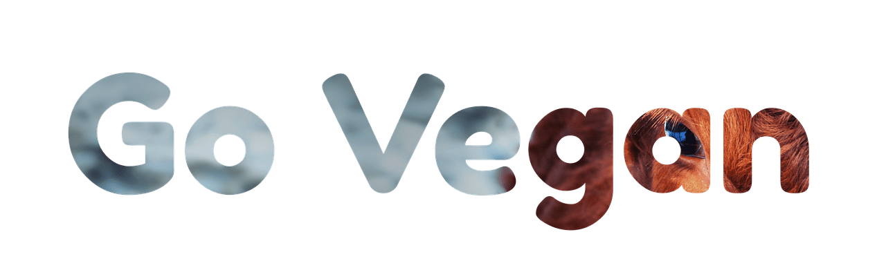 entdecken sie die welt des veganismus: erfahren sie, wie eine pflanzenbasierte ernährung nicht nur ihre gesundheit verbessert, sondern auch unseren planeten schützt. lernen sie rezepte, tipps und inspiration für einen nachhaltigen lebensstil.