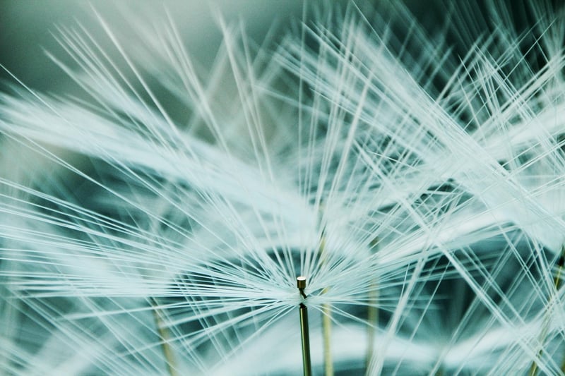 fibres