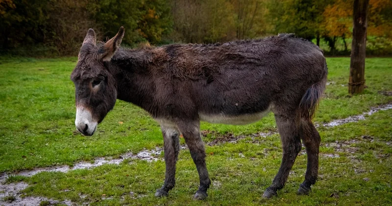 Vorher-Nachher: Was Sie wirklich erwarten können