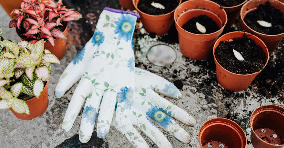 entdecken sie die besten tipps und tricks für die frühlingsgartenarbeit. erfahren sie, wie sie ihre pflanzen optimal vorbereiten und ihren garten in voller blüte erstrahlen lassen.