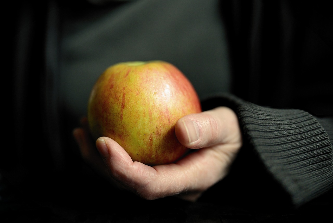 entdecken sie effektive diäten, die ihnen helfen, ihre gesundheitsziele zu erreichen. informieren sie sich über die besten ernährungstipps, rezepte und strategien für eine ausgewogene ernährung.