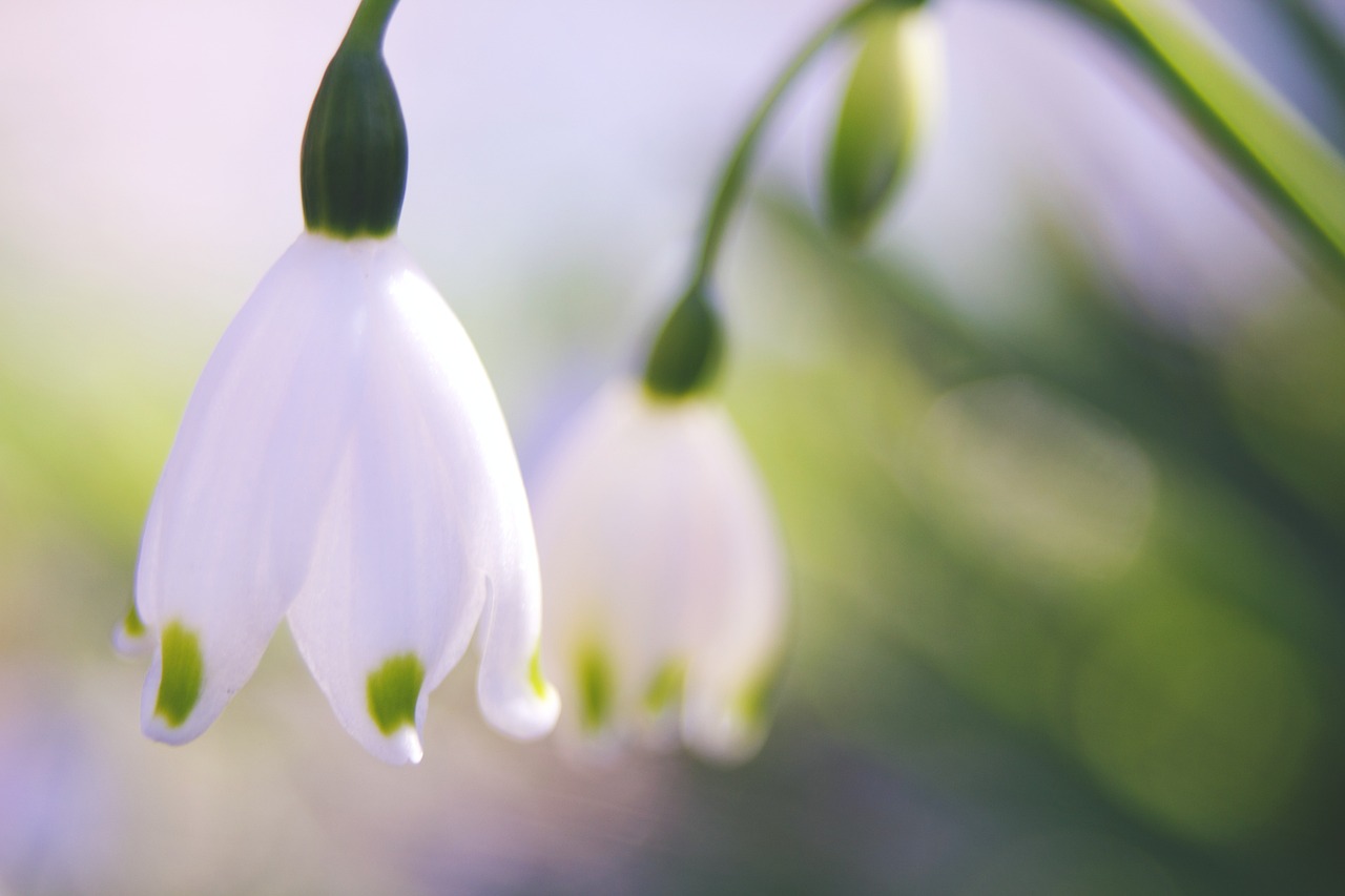 Lebensstil&auml;nderungen: Wie kleine Ver&auml;nderungen gro&szlig;e Auswirkungen auf Ihre Gesundheit haben k&ouml;nnen