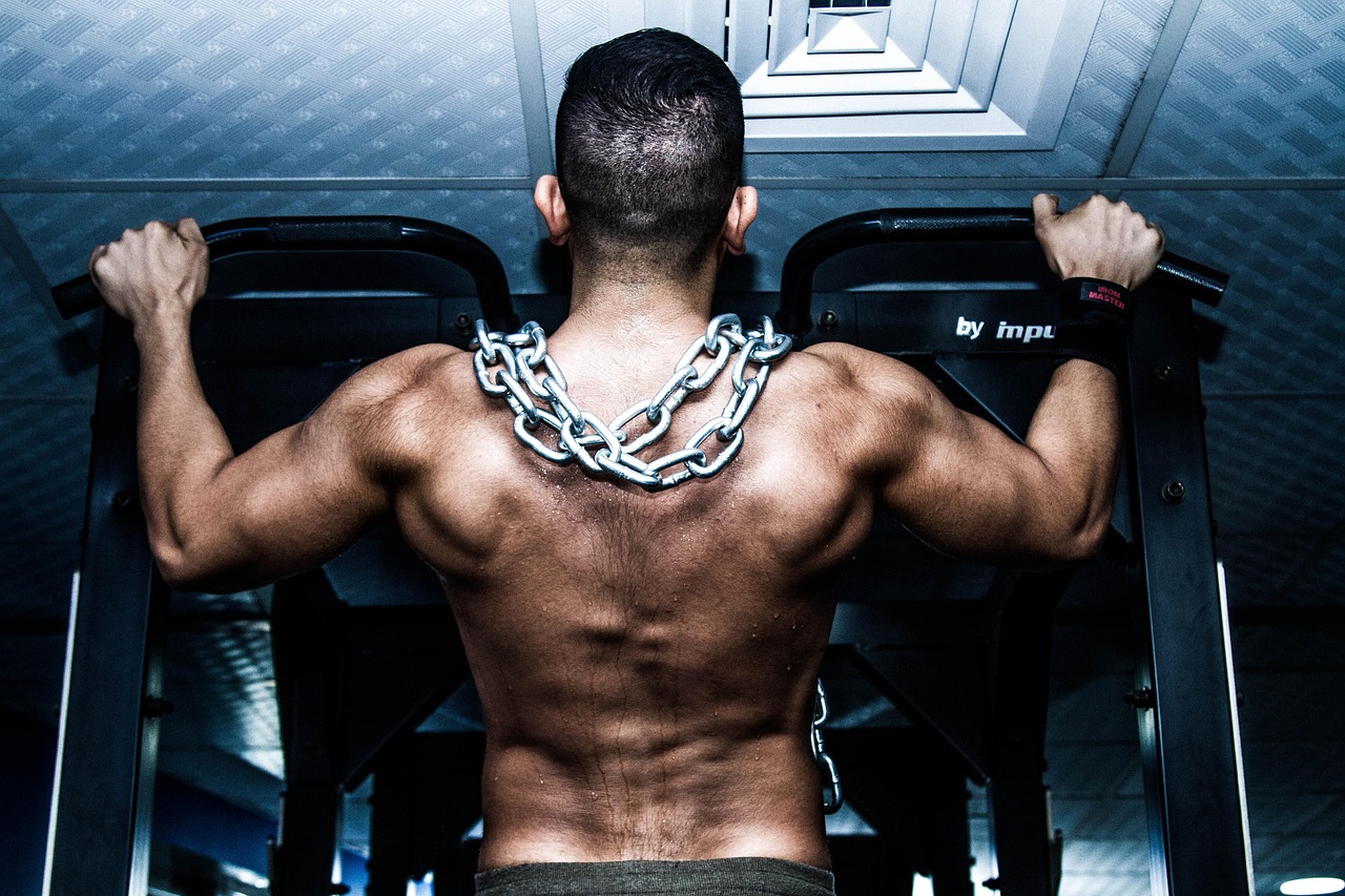 entdecken sie die besten fitnessstudios in ihrer nähe! verbessern sie ihre gesundheit und fitness mit modernen geräten, vielfältigen kursen und professionellen trainern. starten sie noch heute ihr persönliches fitnessabenteuer!