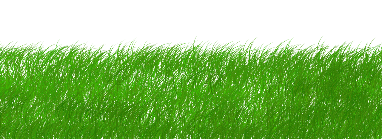 entdecken sie die bedeutung der nachhaltigkeit und erfahren sie, wie nachhaltige praktiken unsere umwelt schützen, ressourcen schonen und eine bessere zukunft für kommende generationen schaffen können.