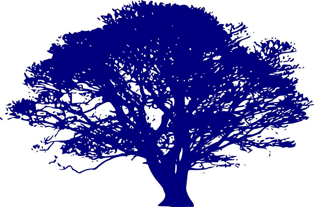 entdecken sie eine vielzahl von bildungsressourcen, die lehrern und schülern helfen, effektives lernen zu fördern und wissen kreativ zu vermitteln.