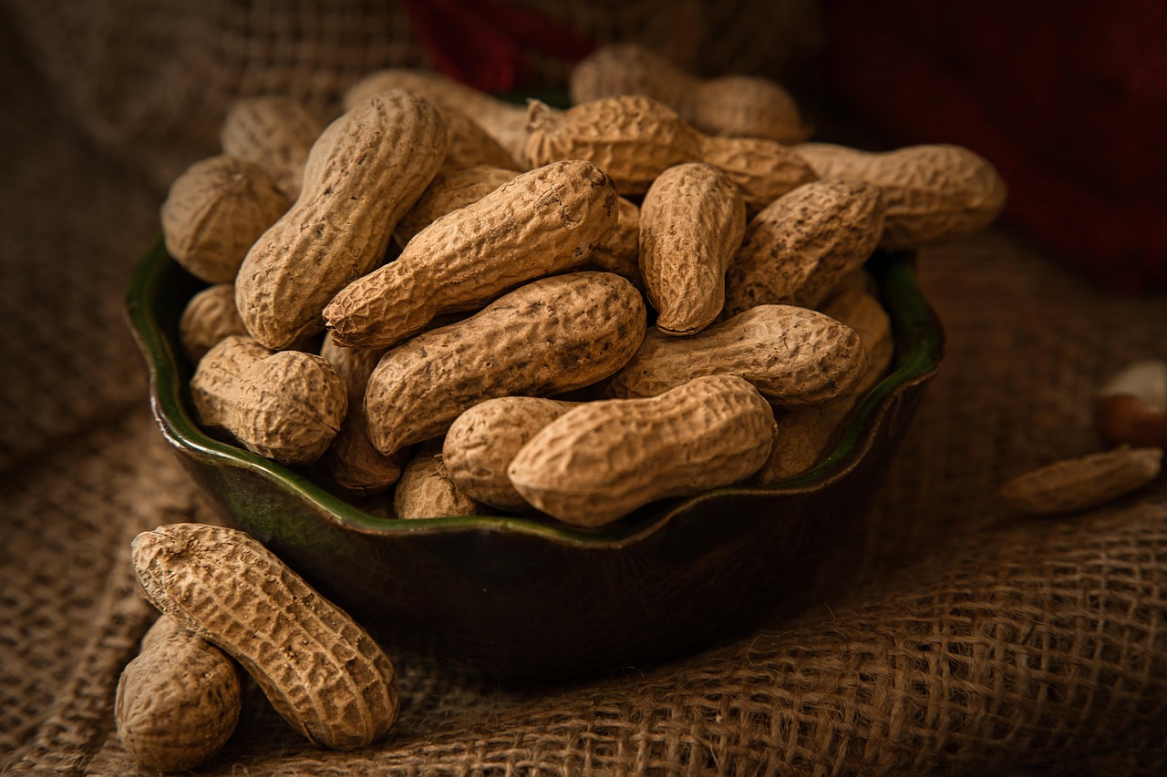 entdecken sie gesunde snacks, die köstlich und nahrhaft sind. ideal für jede tageszeit, bieten unsere snacks eine perfekte kombination aus geschmack und gesundheit.