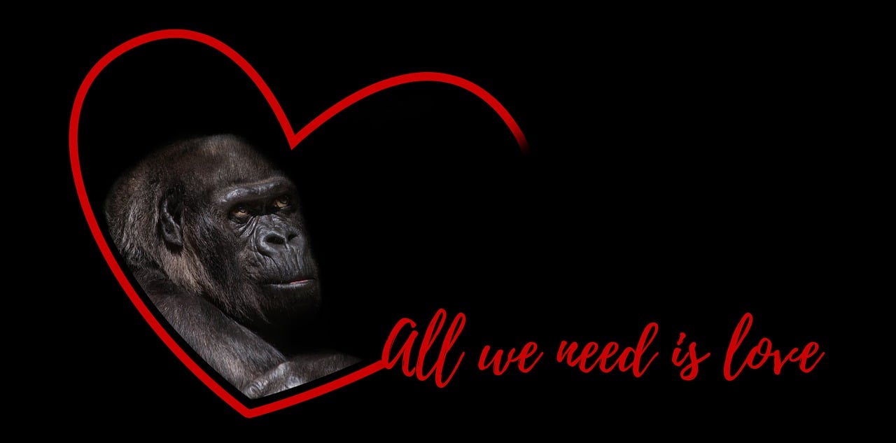 entdecken sie die rolle von hilfsorganisationen, die sich für die unterstützung bedürftiger gemeinschaften einsetzen, humanitäre hilfe leisten und nachhaltige lösungen fördern. erfahren sie, wie sie helfen können.