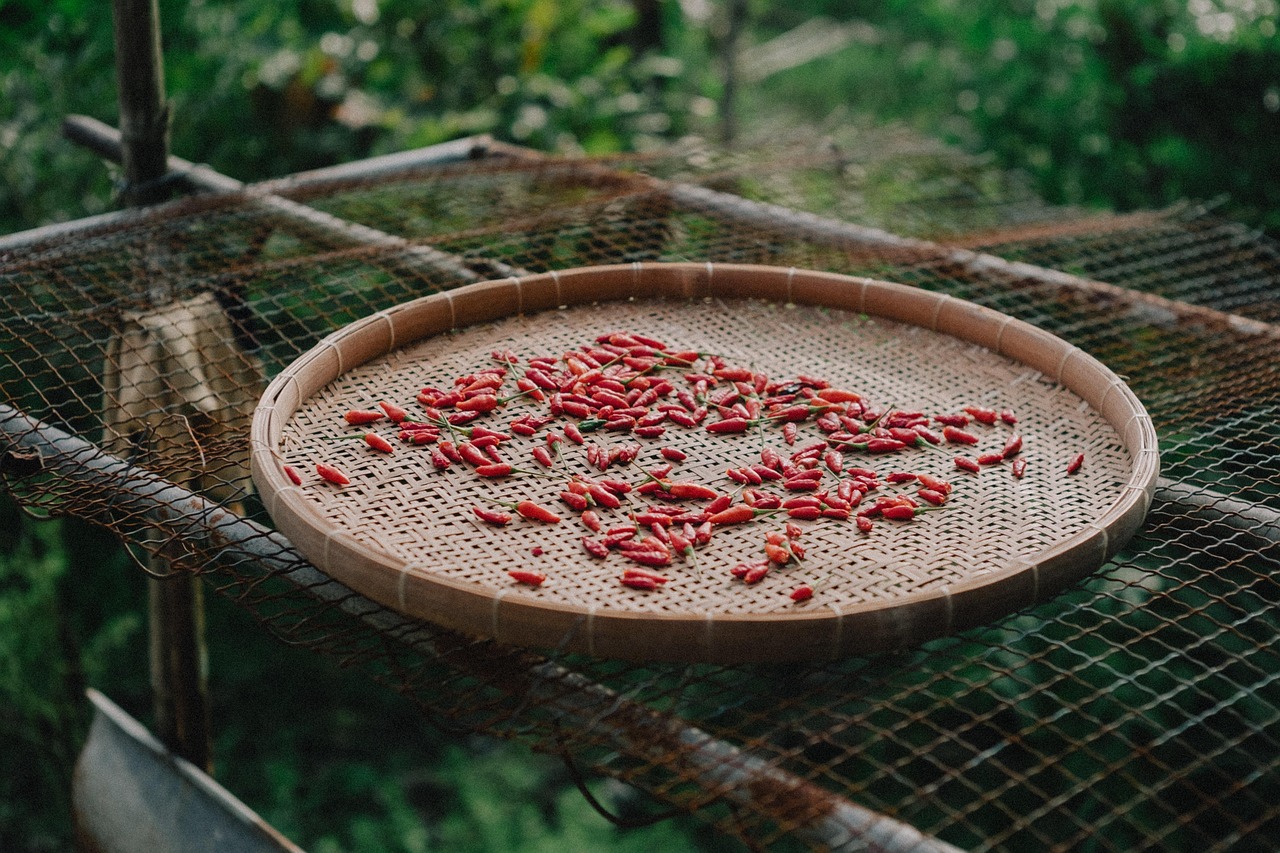 entdecken sie die kunst des kochens mit unseren einfachen und köstlichen rezepten. von traditionellen gerichten bis hin zu modernen kreationen – lassen sie sich inspirieren und genießen sie das kochen wie nie zuvor!
